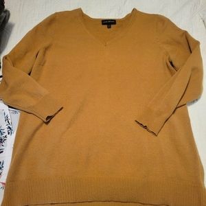 Lane Bryant V-neck sweater